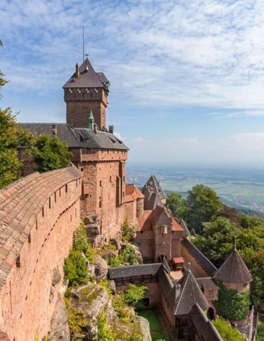 Bel Appartement En Centre Alsace Kintzheim Kültér fotó