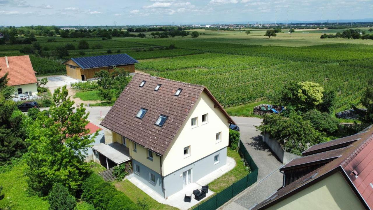 Bel Appartement En Centre Alsace Kintzheim Kültér fotó