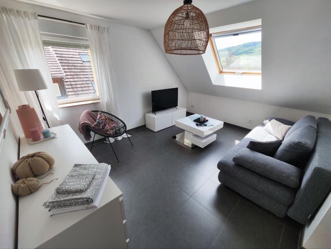 Bel Appartement En Centre Alsace Kintzheim Kültér fotó